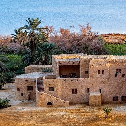 Adobe-style buildings surrounded by palm trees in a desert oasis