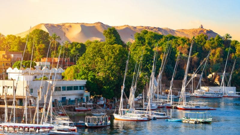 Traditional boats moored along the Nile riverbank with palm trees and a setting sun.