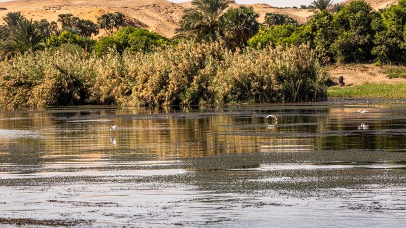 4-Day lake Nasser cruise from Abu Simble