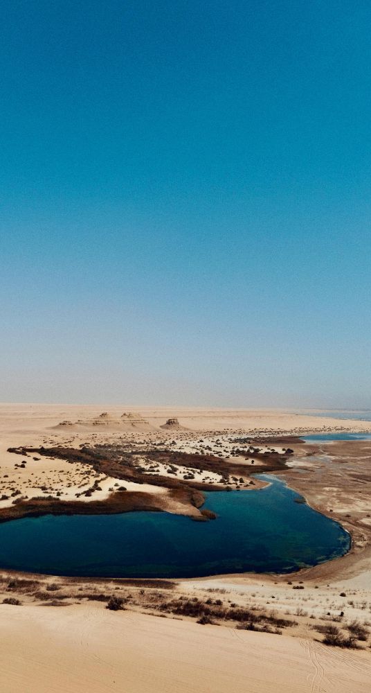 Serene oasis in Fayoum with lush greenery and a tranquil water body surrounded by desert landscape